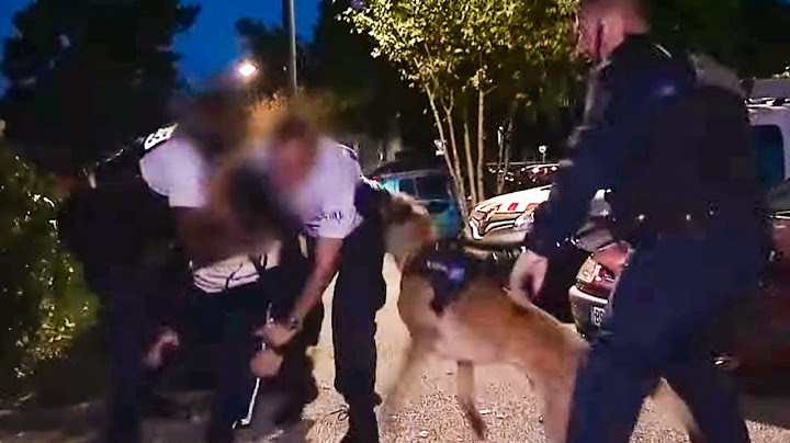 Interpellation musclée de squatteurs