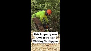 🔥🌲 This Property Was a Wildfire Risk Waiting to Happen 🚨🏠 #shorts