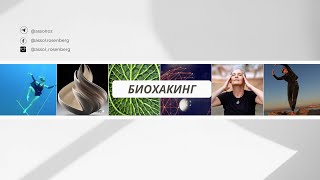 Биохакинг и качество жизни