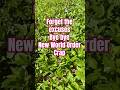 ❗Forget About the New World Order Crap! 💭 Shone's Thoughts Podcast Highlight