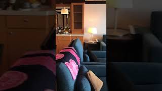 Oasis of the Seas Owner Suite Cabin 10640