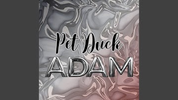 Pet Duck Adam