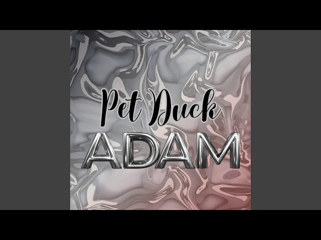 Pet Duck Adam