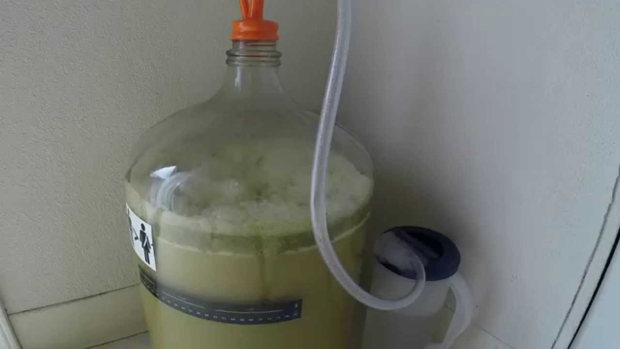 Fermentation Time Lapse YouTube