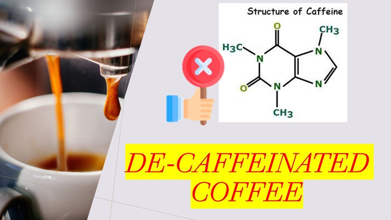 Biotechnology Behind Decaffeinated Coffee Explained in 6 Minutes YouTube