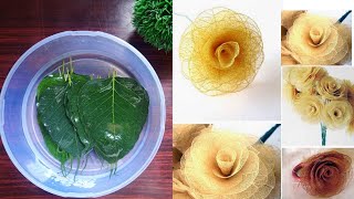 Skeleton leaves rose making craft/How to make Skeleton leaves/DIY Skeleton Leaves/Skeleton leaf art