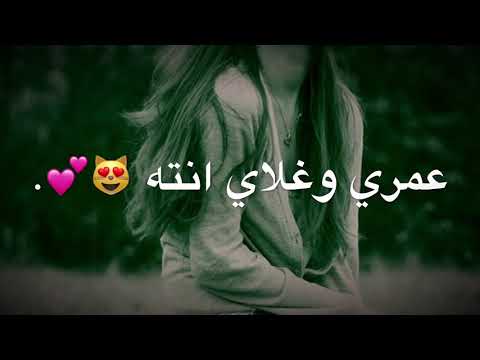 سيف نبيل عمري وغلاي انت