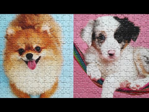 Cute 🥰 Puppies Jigsaw Puzzle Time Lapse #asmr #puppy
