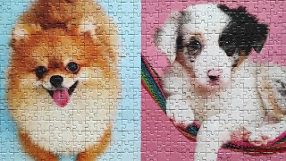 Cute 🥰 Puppies Jigsaw Puzzle Time Lapse #asmr #puppy screenshot 3