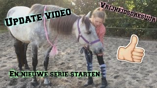 Update Video Vrijheidsdresuur En Nieuwe Serie Starten Horsetime