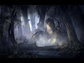 Mysterious Forest - Chopin 1 Hour Long (Please read the description below!)