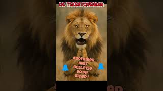 Download Lagu Leeuw kan zich niet inhouden! | #humor #comedy #trending #grappig #liedjes #muziek #music #fun MP3