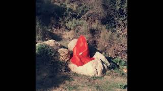 Oddnesse - The Chills