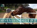 EQUESTRIAN MORNING ROUTINE (Winter 2020) | ZL Equestrian
