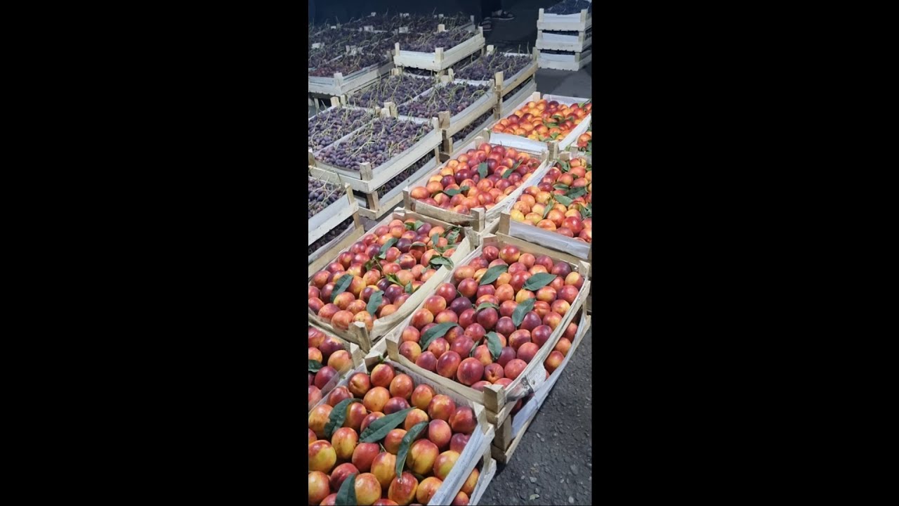 ОПТОМ МЕВАЛАР БОЗОРИ: НАРХ - НАВО КАНДАЙ БИЛИБ ОЛИНГ! | НАМАНГАН | #оптом #мева #бозор #нархлари2025