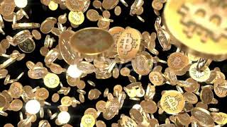 BTC 3D Golden Coins Falling | Royalty Free Motion Graphics | Stock Footage
