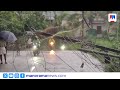 മരം വീണ് പത്തോളം വൈദ്യുതി പോസ്റ്റുകൾ തകർന്നു; കെഎസ്ആർടിസി ബസ് തലനാരിഴയ്ക്ക് രക്ഷപ്പെട്ടു| Rain