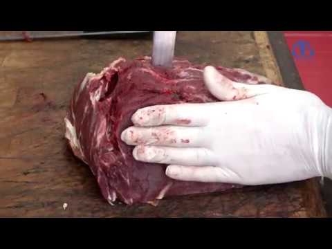 فيديو: كيف لطهي يخنة لحم الحصان