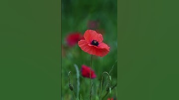 maybe time for a break #nature #edit