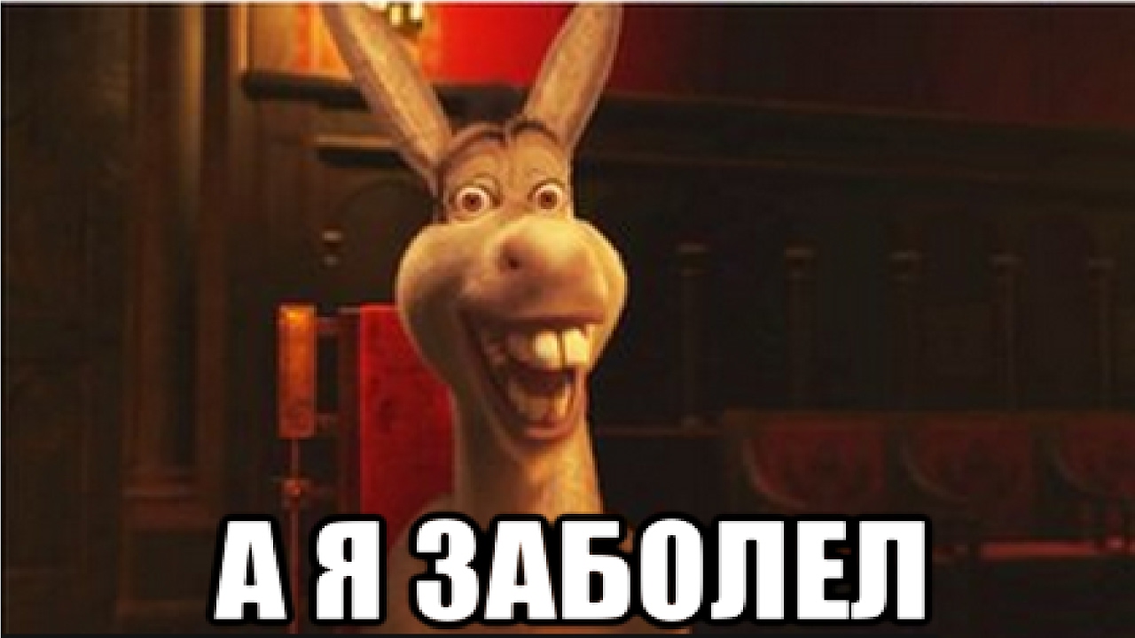 Картинка осла из шрека уже приехали
