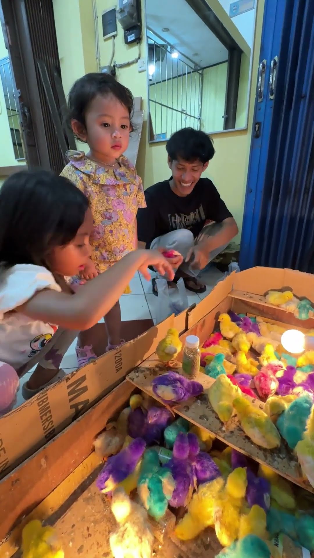 LEIKA LEXIE BELI AYAM LUCU WARNA WARNI, ADA YANG PERNAH PUNYA AYAM INI?
