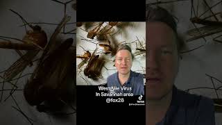 West Nile Virus in Savannah #breakingnews