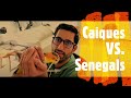 Comparing Senegal and Caique Parrot’s