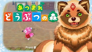 【あつまれどうぶつの森】もう冬景色になってそうだね　413匹との一期一会【詰草マカロル/狸Vtuber】