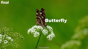 Nuke one point tracking || Breakdown || Deepanshu ||