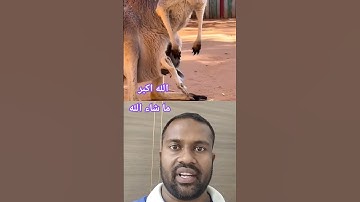 هذا خلق الله #القرآن_الكريم #ارح_قلبك #راحة_نفسية #تلاوة_هادئة #تلاوة_خاشعة #المصحف #القارئ