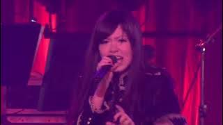 Larval Stage Planning - Trip -innocent of D- ( Live ) 23.12.2011