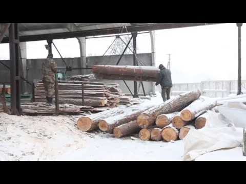 Timber.UA Производство пиломатериалов
