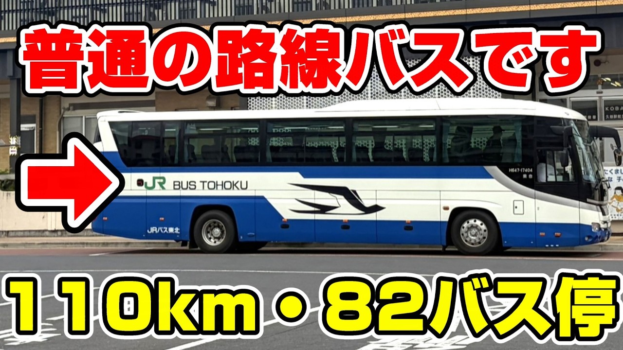 【バス停大量】盛岡~久慈を結ぶバス白樺号が面白すぎる