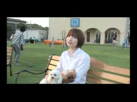 犬とあなたの物語 いぬのえいが 篠田麻里子メイキング Youtube