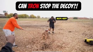 Could Tron stop a man!!!! Training 101