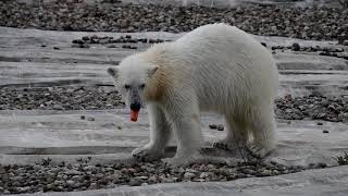 Laerke Eating Breakfast