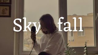 Skyfall Adele (cover)