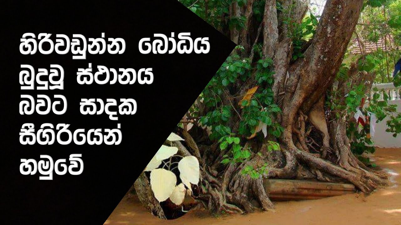 හිරිවඩුන්නේ සිට සීගිරිය දුටු පාහියන් භික්ෂුව
