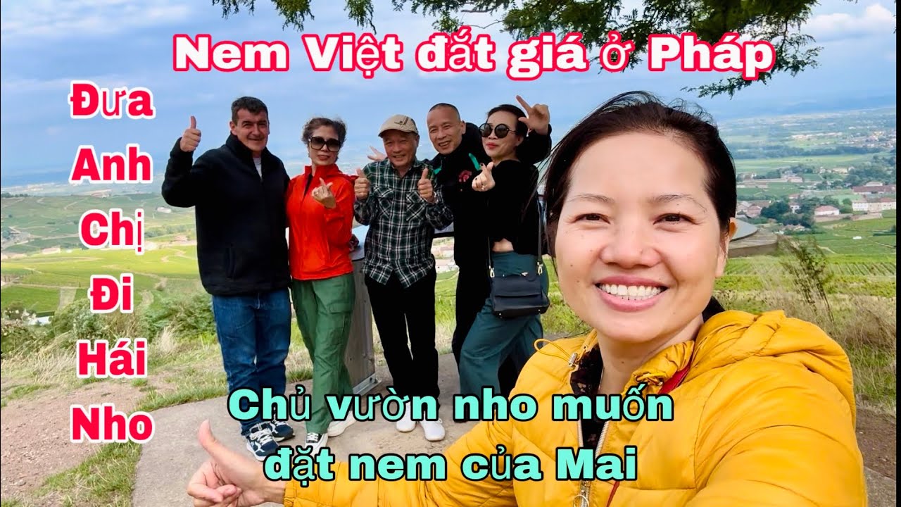 Đưa anh chị đi hái nho và thử rượu vang tại hầm, bất ngờ gặp ông chủ nho muốn đặt nem, Mai le