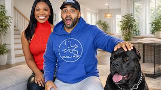 I Trained Danni Rose Cane Corso from AGGRESSIVE to Calm!