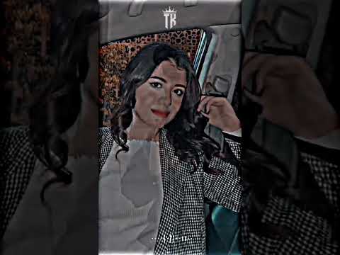 كلنا ماشيين ومعانا سلاح