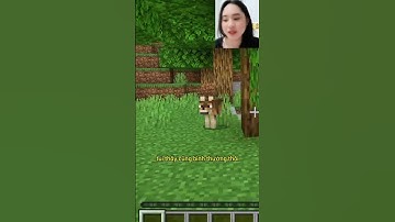 Con chó trong Minecraft báo trước cái điềm như thế nào - Game Hay Minecraft 2025bmod#minecraft