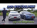  byd dolphin option  