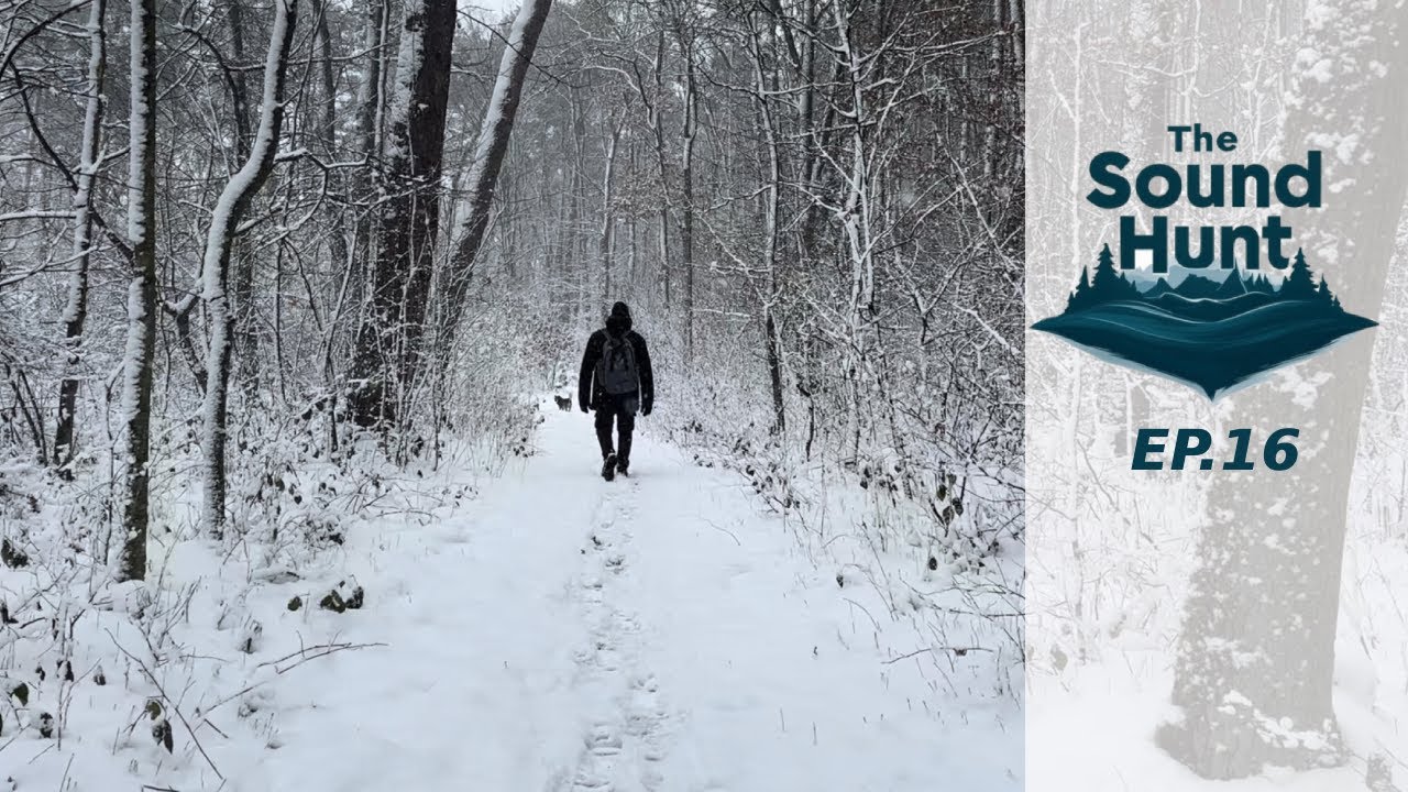 Field Recording Winters Silent Soundscapes | The Sound Hunt Ep.16