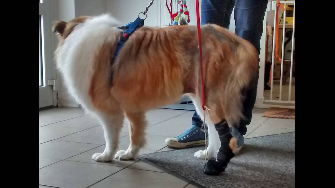 Sue bekommt ihre Orthesen