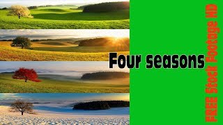 Four seasons FREE Stock Footage HD