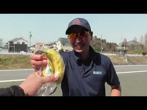 バナナで釣れる魚！？何でも食う雑食モンスターと対決！