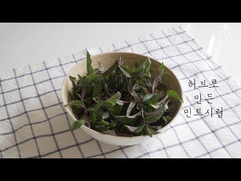 허브로 만든 민트 시럽 : How to make mint syrup with Choco Mint(herb)