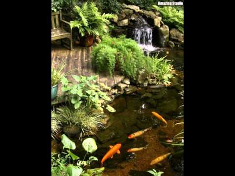 Video: Arten Von Dekorativen Teichen Im Garten
