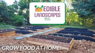 Edible Landscapes - Grow Food at Home!